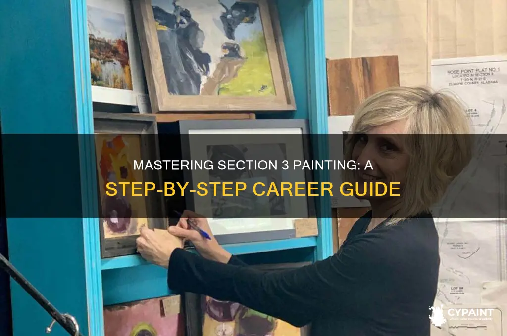 how to become a section 3 painter