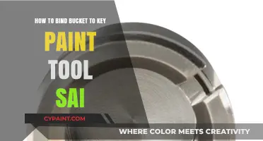 Binding Buckets to Keys in Paint Tool SAI: A Quick Guide