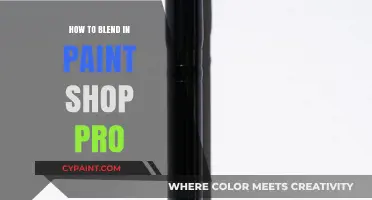 Mastering Paint Shop Pro: Seamless Blending Techniques for Stunning Effects