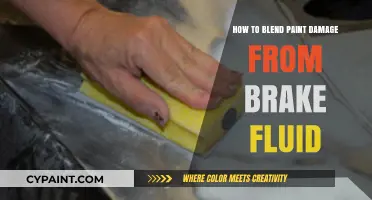 Fixing Brake Fluid Paint Damage: A Step-by-Step Blending Guide