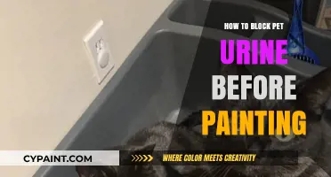 Prep Walls for Painting: Blocking Pet Urine Stains Effectively