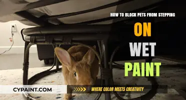 Prevent Pets from Walking on Wet Paint