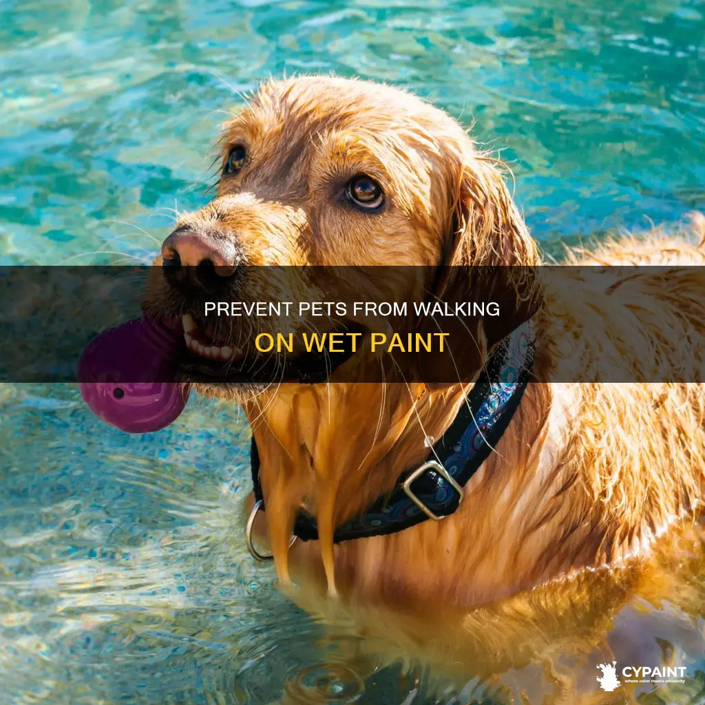 how to block pets from stepping on wet paint