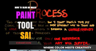 Master Blurring Techniques in Paint Tool SAI: A Step-by-Step Guide