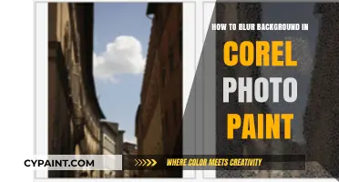 Master Blurring Backgrounds in Corel Photo-Paint: A Step-by-Step Guide