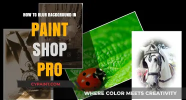 Master Blurring Backgrounds in PaintShop Pro: A Step-by-Step Guide