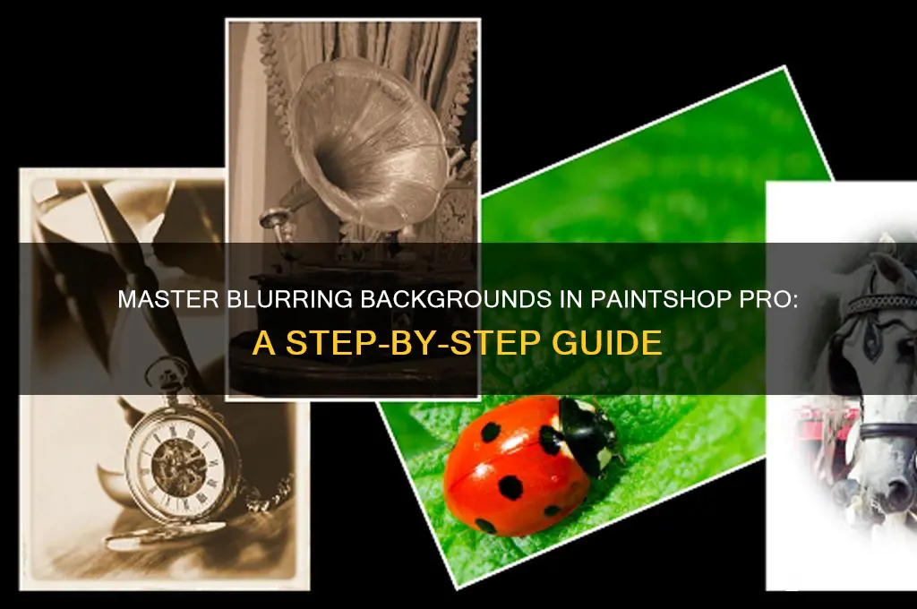 how to blur background in paint shop pro