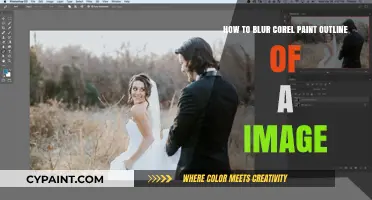 Efficient Ways to Blur Outlines in Corel Paint