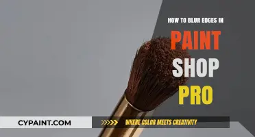 Mastering Edge Blurring in Paint Shop Pro: A Step-by-Step Guide