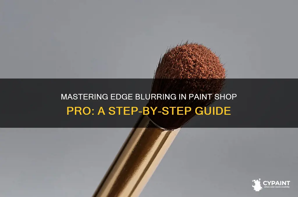 how to blur edges in paint shop pro