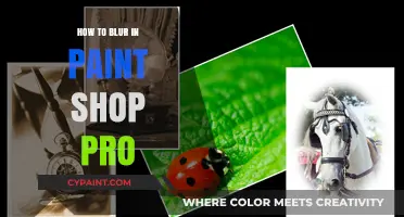 Mastering Blur Techniques in PaintShop Pro: A Step-by-Step Guide