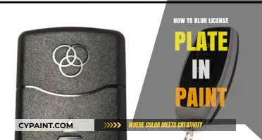 Easy Steps to Blur License Plates Using Microsoft Paint