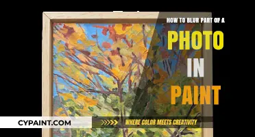 Blurring Photos 101: Mastering Partial Blurs in MS Paint