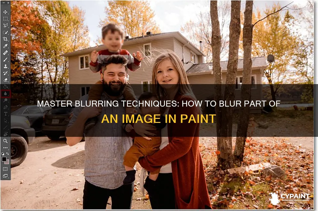 how to blur part of image in paint