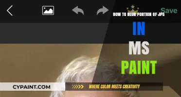 Blurring JPG Images: MS Paint's Secret Weapon