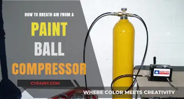Breathing Air from a Paintball Compressor: Safe or Not?