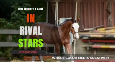 Breeding Paint Horses in Rival Stars: A Step-by-Step Guide