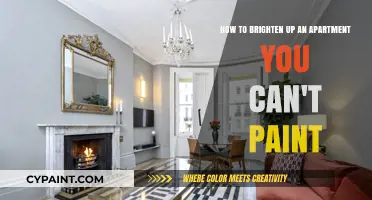 Creative Ways to Brighten Your Rental Apartment Without Painting Walls