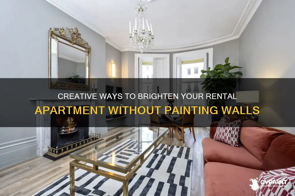 how to brighten up an apartment you can