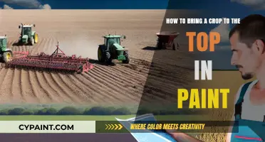 Mastering Crop Elevation: Top Techniques in Paint for Perfect Placement