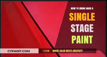 Revive Your Ride: Mastering Single Stage Paint Restoration Techniques