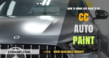 Revive Your BC CC Auto Paint: Expert Tips for a Stunning Finish