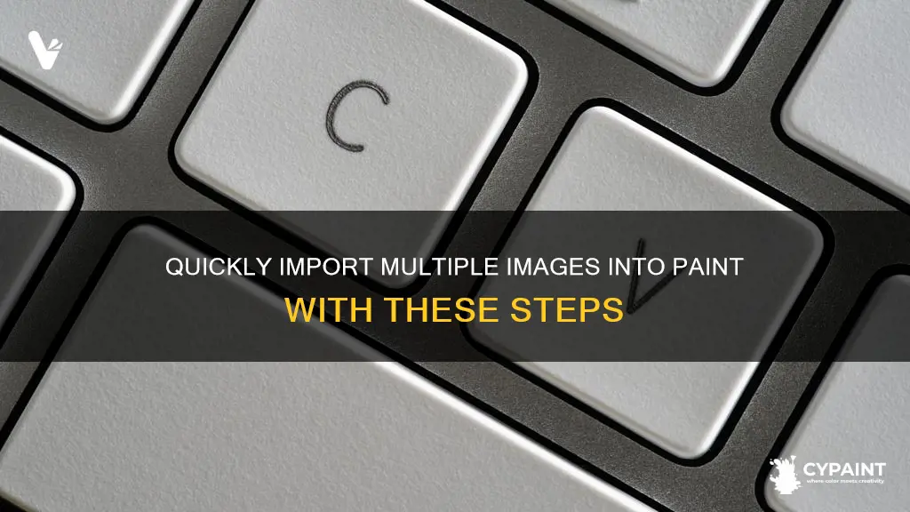 how to bring more than 1 pic into paint