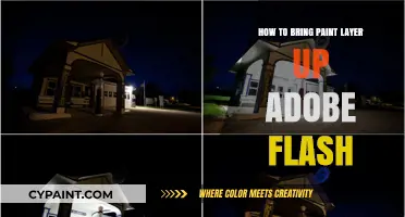 Mastering Adobe Flash: Techniques to Bring Paint Layers to the Forefront