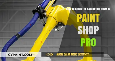 Mastering Paint Shop Pro: Techniques to Reduce Saturation Effectively