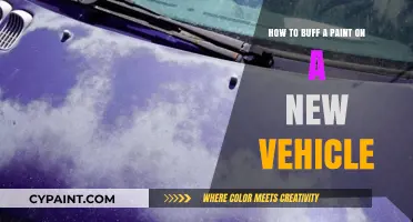 The Ultimate Guide to Buffing Your New Car's Paint