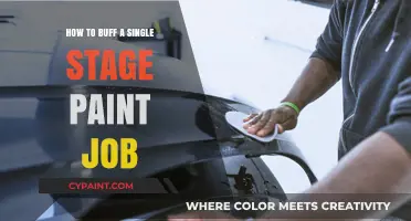 Mastering the Art of Buffing a Single Stage Paint Job