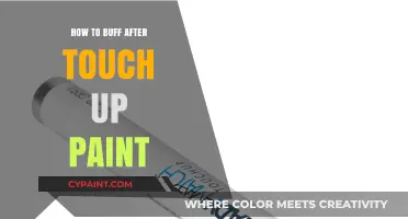 Mastering the Art of Buffing After Touch-Up Paint for a Flawless Finish