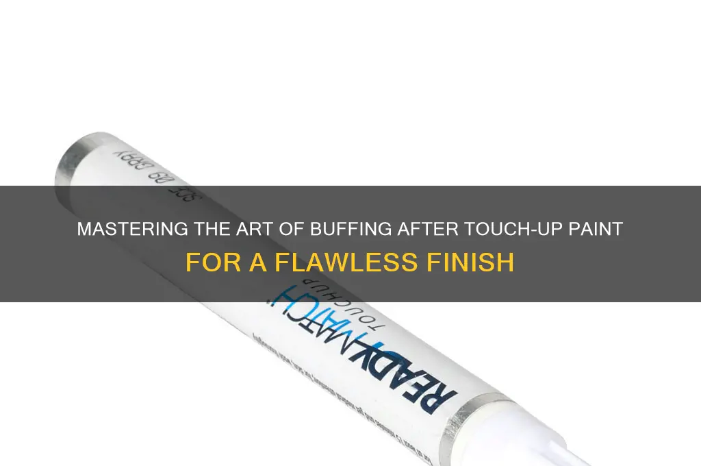 how to buff after touch up paint