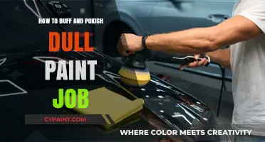 Revive Your Ride: Buffing and Polishing Dull Paint to Perfection