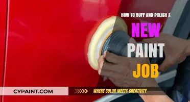 The Ultimate Guide to Buffing and Polishing a New Paint Job