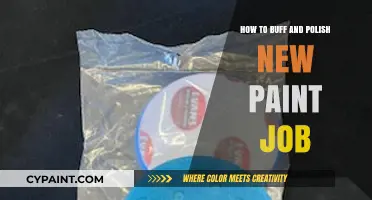 Mastering the Art of Buffing and Polishing Your New Paint Job