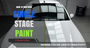Mastering the Art of Buffing New Single Stage Paint: A Guide