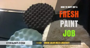 Mastering the Art of Buffing a Fresh Paint Job Flawlessly