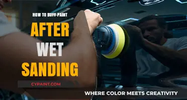 Mastering Paint Buffing: Post-Wet Sanding Techniques for a Flawless Finish