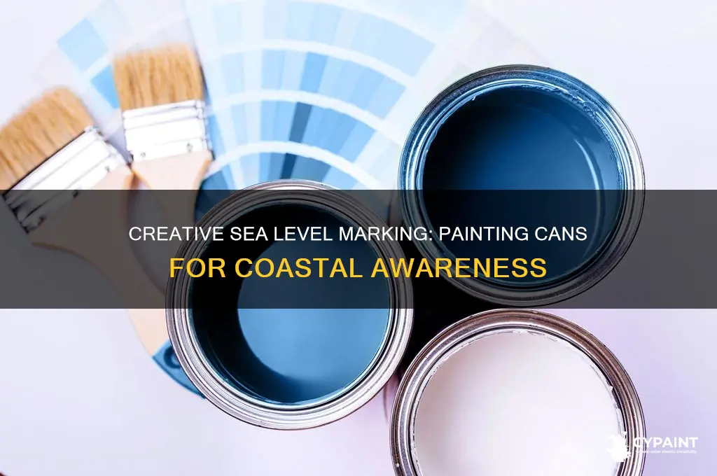 how to build sea level show up on paint cans