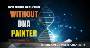 Calculating DNA Relationships: Alternative Methods Beyond DNA Painter