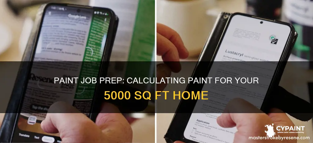 how to calculate paint for 5000 sq feet home