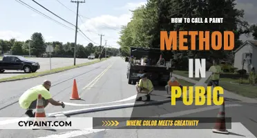 Mastering Public Paint Method Calls: A Step-by-Step Guide