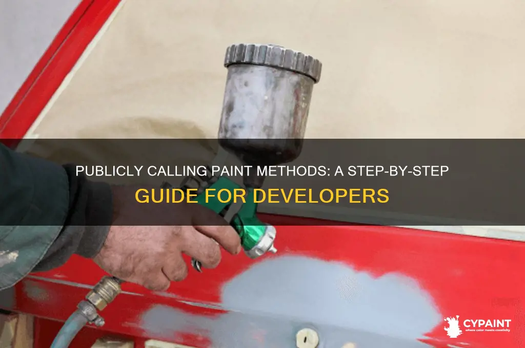 how to call a paint method in public