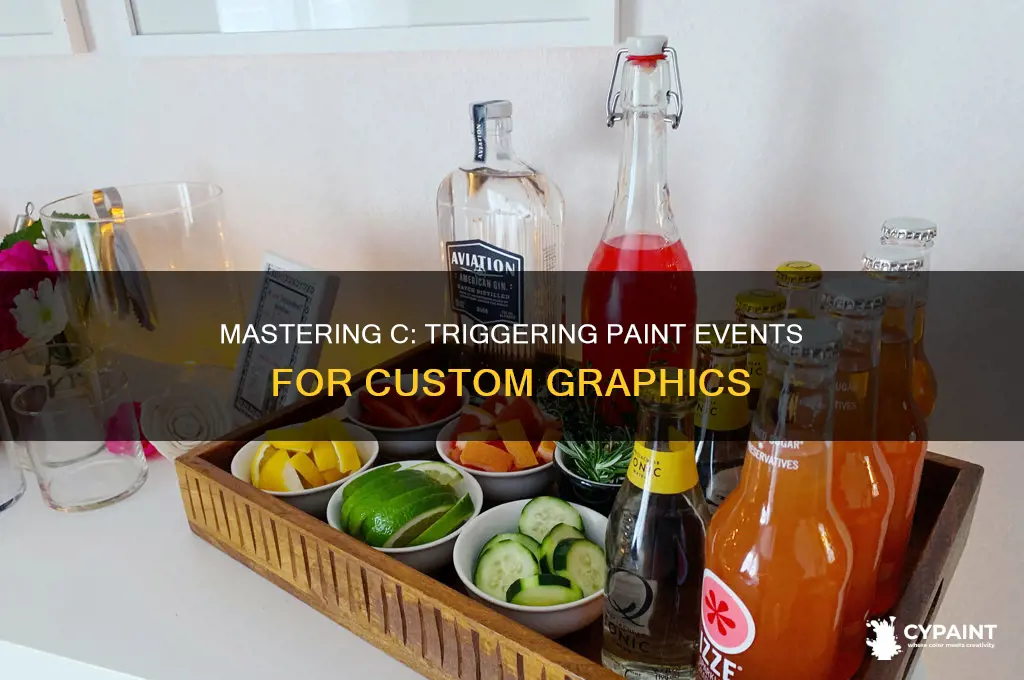 how to call paint event in c