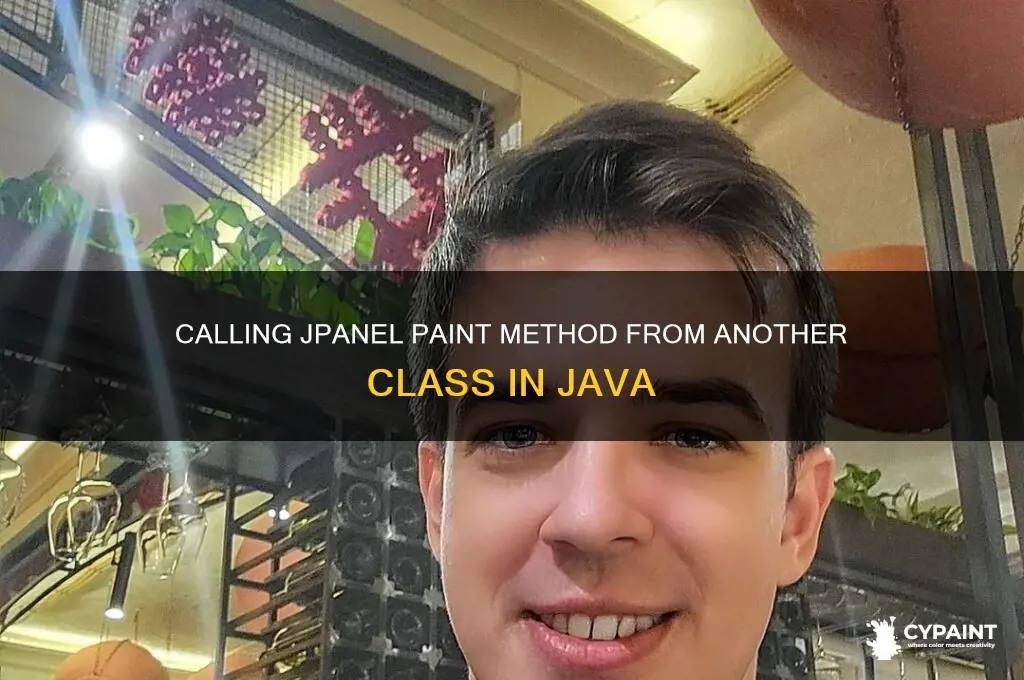 how to call paint in jpanel from another class java