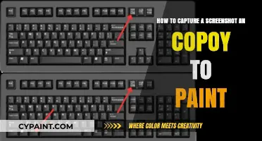 Taking Screenshots: Paint Copy-Paste Method