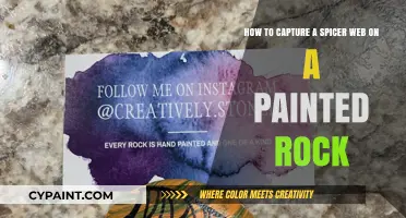 Mastering the Art of Capturing Spider Webs on Painted Rocks
