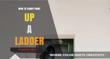 Safely Transporting Paint Up Ladders: Essential Tips and Techniques