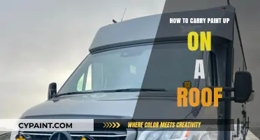 Safely Transporting Paint to Your Roof: Tips and Techniques